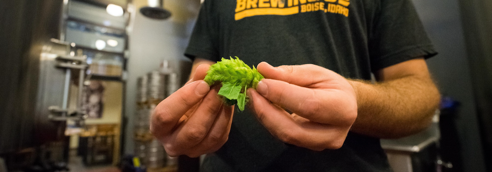 Breweries want less chemicals on hops