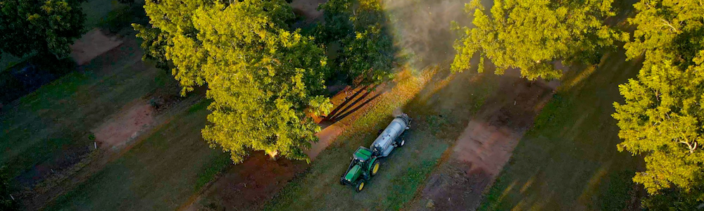 Precision spraying pecans